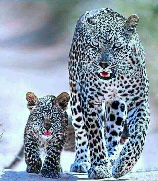 👋 molt bon dia 😊😉