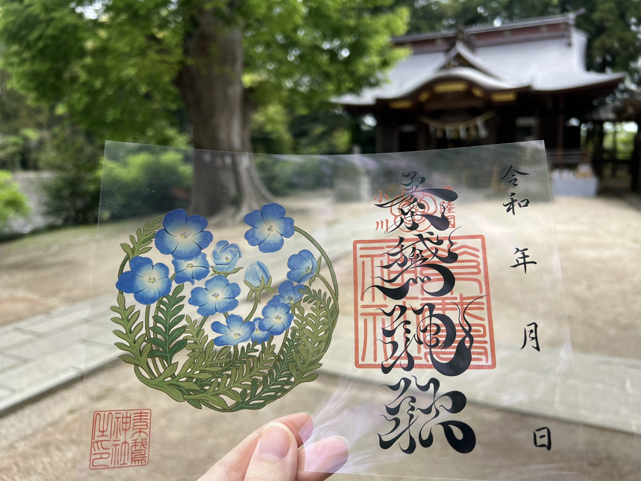 限定品】 素鵞神社⛩️ GW限定 透明御朱印『ネモフィラ』 新年の新しい
