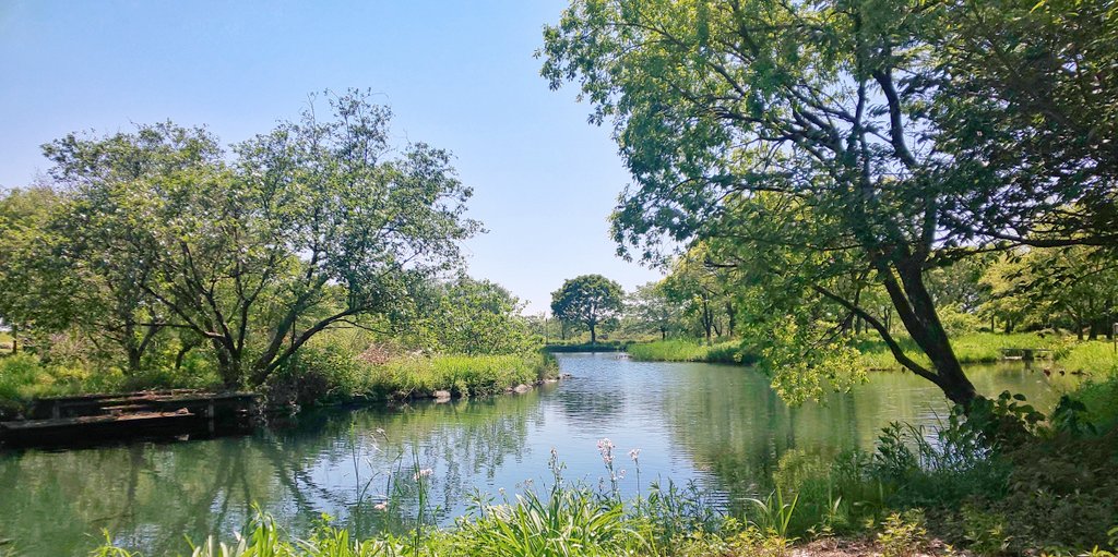 mayqueenver2's tweet photo. .

  新緑が眩しい岸辺で
  思いっきり深呼吸

  花粉も飛んでなくて
  薫風が心地いい

  あなたに優しい風が
  そよぎますように…˖⁺

 .
#お疲れさま
#イマソラ
#photography
. https://t.co/vXiRKprJyt
