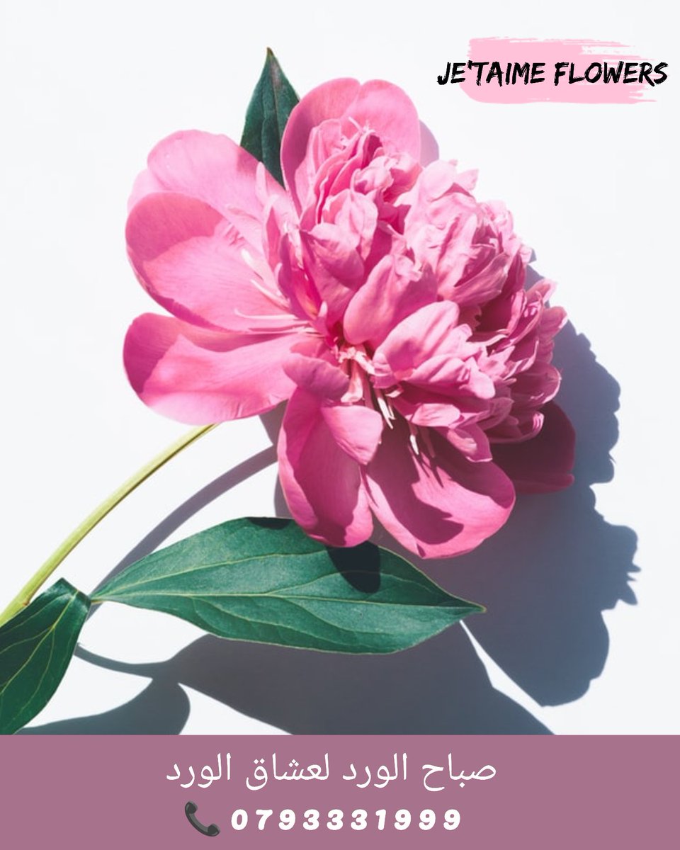 صباح الورد للورد
0793331999