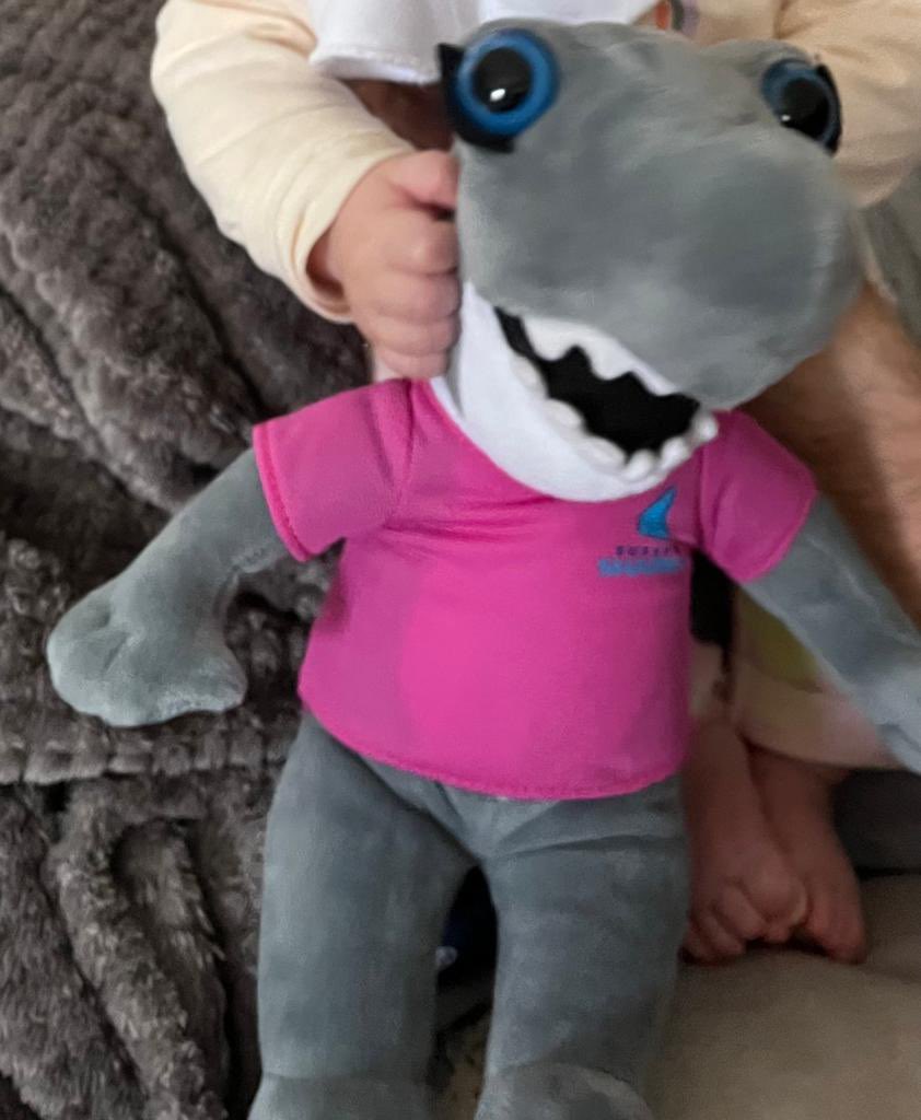 ajhodges01's tweet photo. @scbadger can you guys give us a share, we’re looking for a Sid! Our little girl has lost hers and he’s her best friend! If anyone has one we’d be delighted to buy it/ donate to charity of your choosing! 🙏 #sussexcricket 
#sussexsharks #sidtheshark https://t.co/IaqkGX5xU1