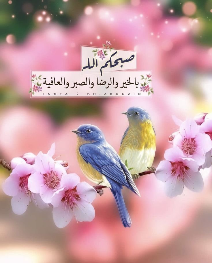 صالحه آل بيهان القحطاني ✍🏻 ⭐️ tweet media