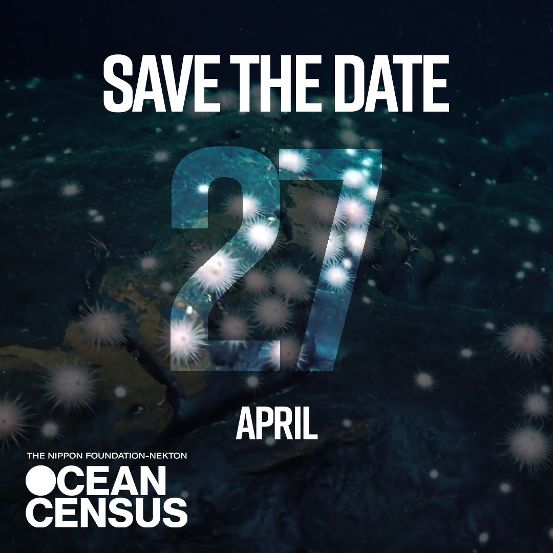 Very much looking forward to the launch of the Ocean Census this morning with @nektonmission and delighted to part of the team bringing this to classrooms. 🗓️Streaming live at 11:00 BST on Thursday 27 April, from the Royal Institution of Great Britain.