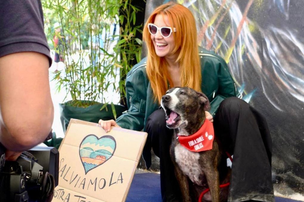 Forasmileonlus's tweet photo. Earth Day Italia 2023, terrazza del Pincio (RO).
Un evento per la solidarietà, condotto dalla giornalista @putiferio22, con moltissimi ospiti tra cui la fantastica @noemiofficial! 
Vi ringraziamo per il vostro sostegno!

#dogpettherapy #earthdayitalia #giornatamondialedellaterra https://t.co/RSku34hkbT