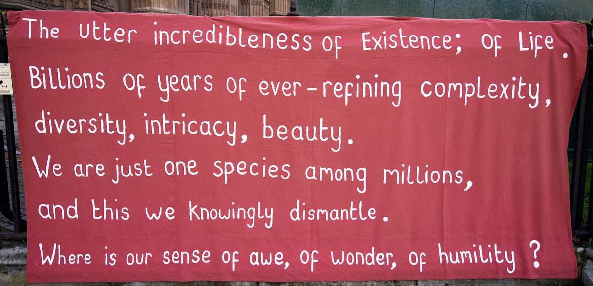The utter incredibleness of Existence; of Life

Billions of years of ever-refining complexity, diversity, intricacy, beauty.

We are just one species among millions, and this we knowingly dismantle.

Where is our sense of awe, of wonder, of humility?

#RebelForLife