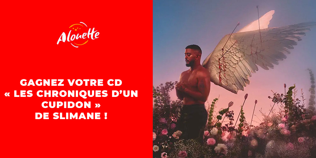 Vinyle Chroniques d'un cupidon – Store Slimane