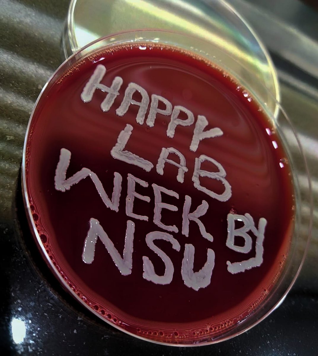 tanveer_tara's tweet photo. HAPPY LAB WEEK 2023
Lab Week is all about recognizing Medical Laboratory Professionals.
"The Future is Lab"
#LabWeek2023
#Labprofessional https://t.co/Hb522Yupzw