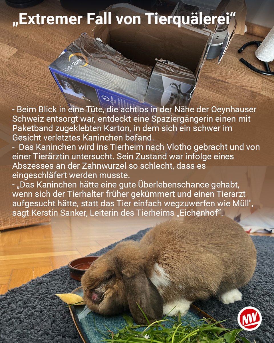 Einfach weggeworfen wie Müll - und das ist strafbar  (nw.de/23546121 | NW+). #Tierschutz #BadOeynhausen #Kaninchen