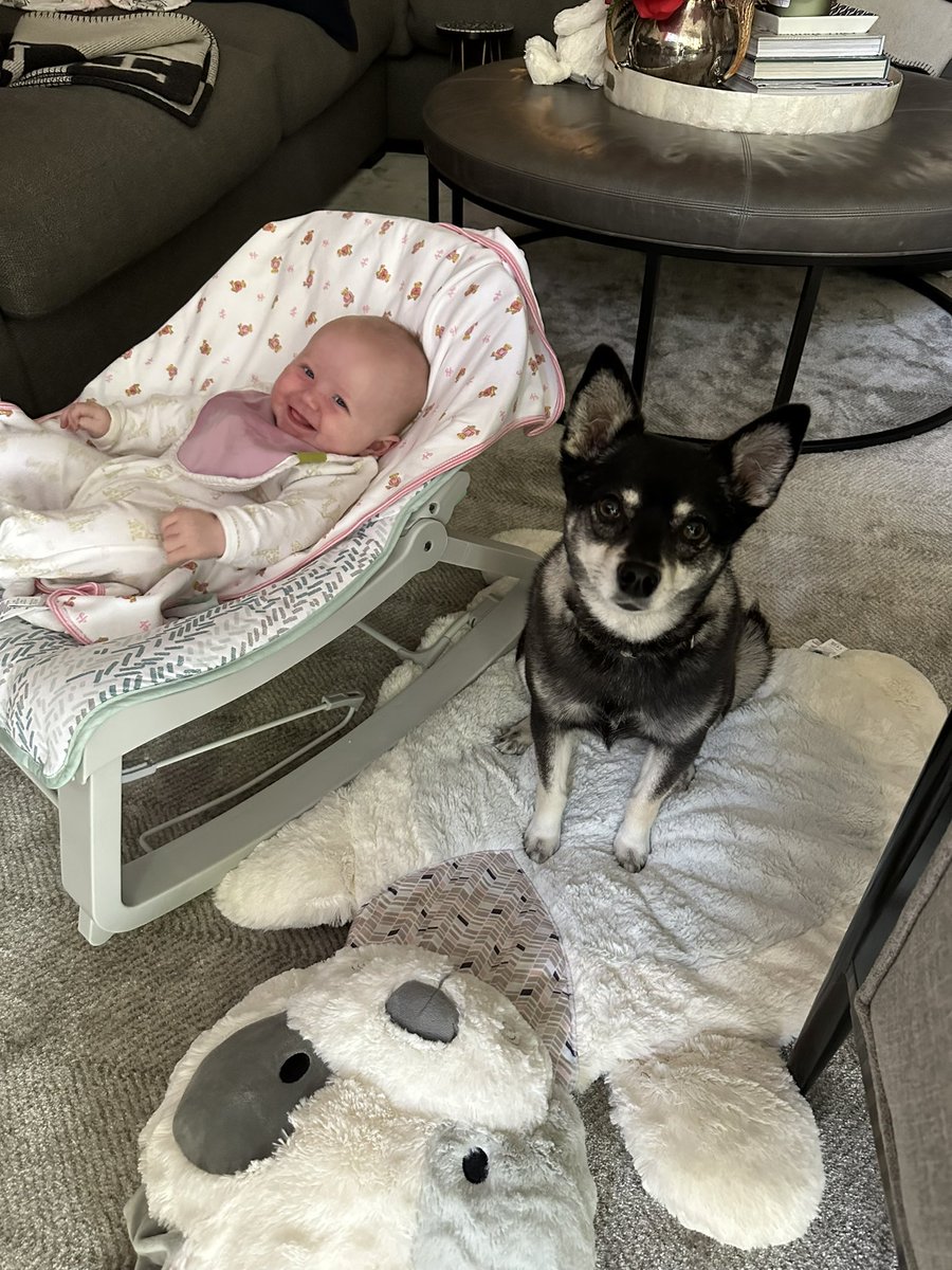 Jeremy Renner tweet media