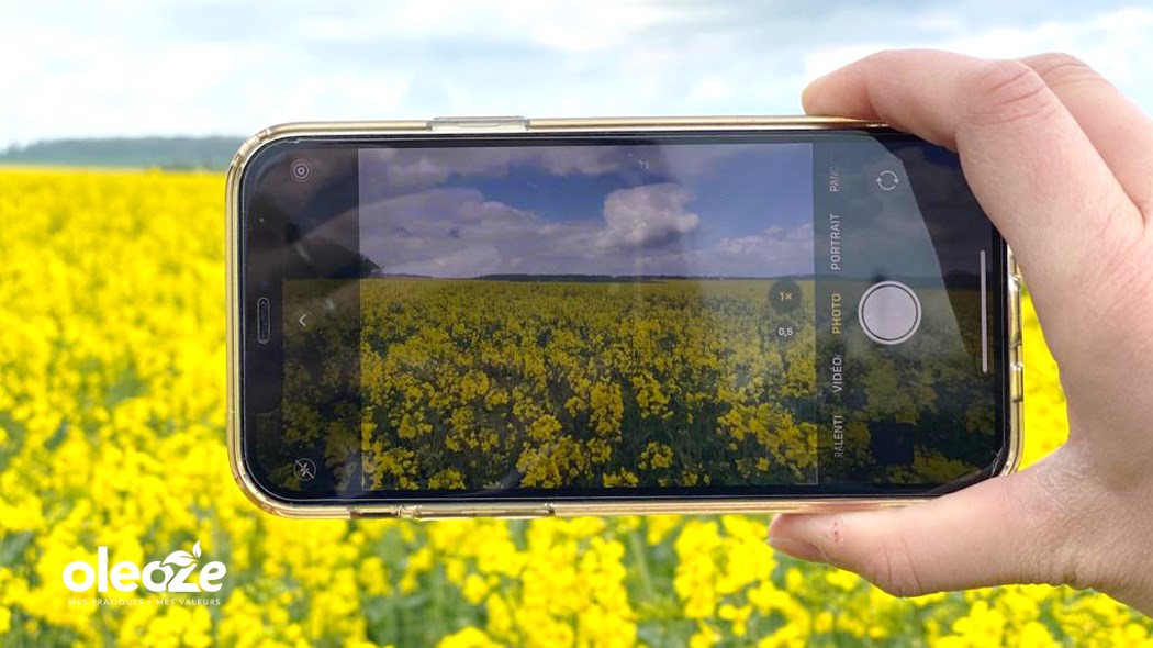 [Partage] En pleine floraison, les parcelles 🇫🇷 de colza d'hiver illuminent les paysages 🔆
Dites-nous si vous avez eu besoin d'intervenir pour protéger contre le sclérotinia et partagez-nous la + belle photo de votre colza.
Nous la publierons sur oleoze.fr 🤩