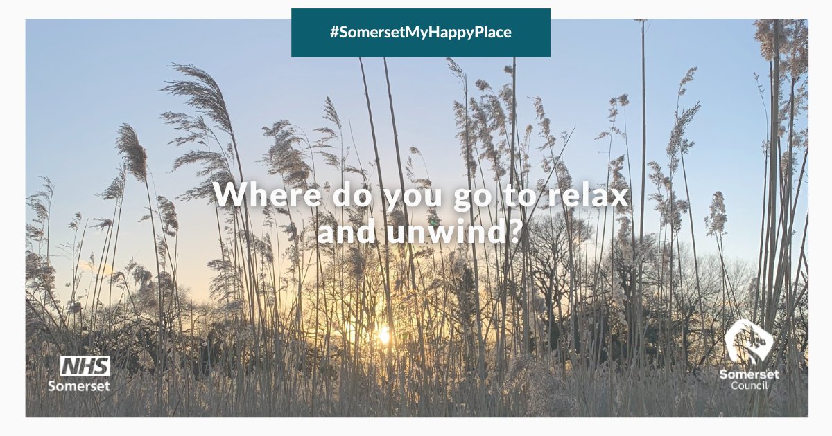 Take part in our #MentalHealthAwarenessWeek campaign and help create an interactive map that shows off all the beautiful green spaces in Somerset   that can lift your mood📷
Tag us in photos of places in Somerset that you go when you feel anxious or low. Use #SomersetMyHappyPlace