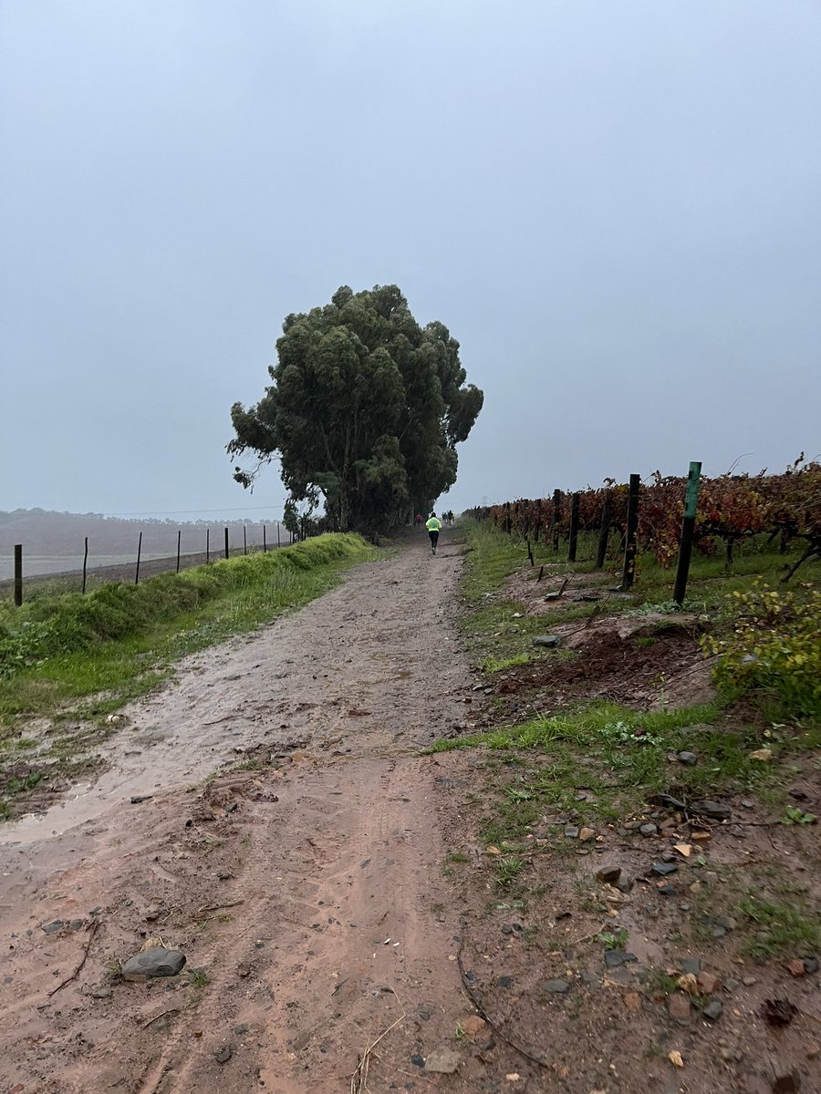 KurtAppolis's tweet photo. Nothing like an early morning wet and rainy 10km trail run at D’Aria #TrailFun #FreedomDay2023 https://t.co/XH6F1MecNM