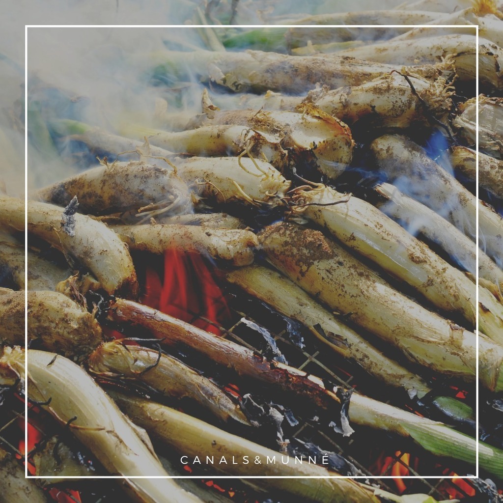 Últim cap de setmana de calçotada! 🌱
Reserva ara per gaudir dels últims calçots de l'any a CANALS &amp; MUNNÉ.

I aprofitarem també per felicitar totes les Montserrats en el seu dia.
Que tingueu un feliç dia de sant! 🥂

#calçots #calçotada #comercalçots … instagr.am/p/Crh8232xrUl/