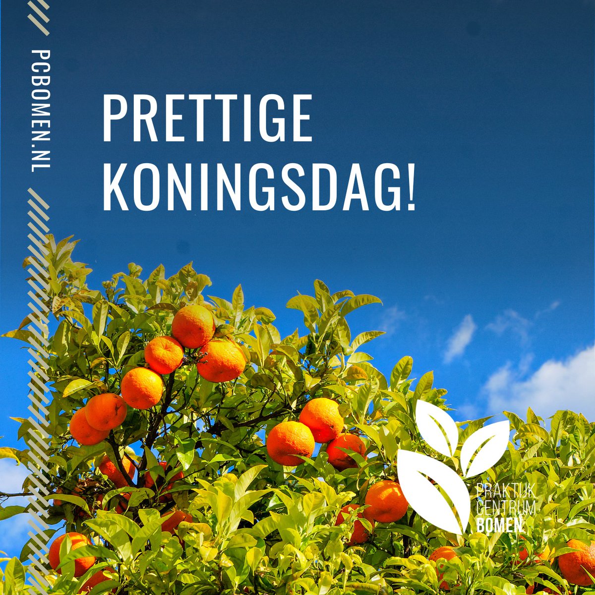 Wij wensen je een fijne Koningsdag! 👑

🧡 Wat zijn jouw plannen vandaag? Ga je de natuur in of heb je andere plannen? We horen het graag via de comments.