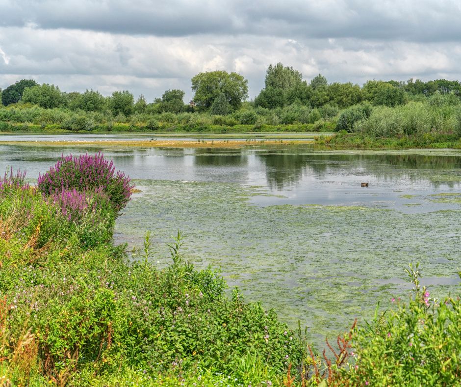 The Parks Trust tweet media