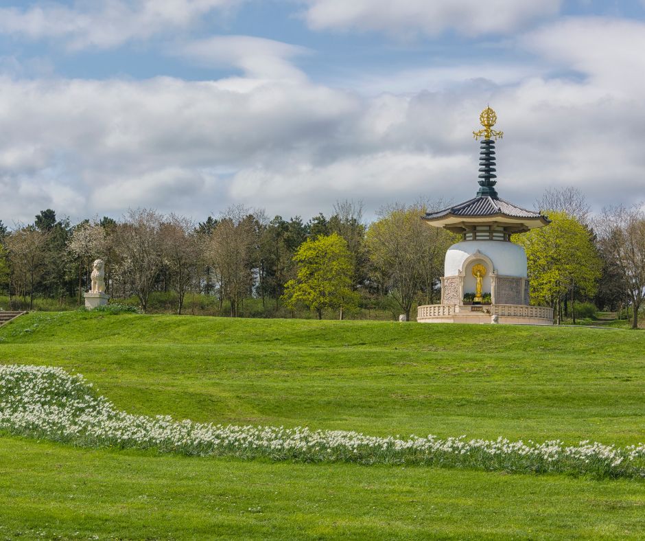 Today we celebrate the first #LoveMK Day as an official city!

We are proud to care for over 6,000 acres of parks and greenspaces across the city which help make Milton Keynes such a fantastic place to live, work and play 🌳

What do you love most about Milton Keynes? 💚