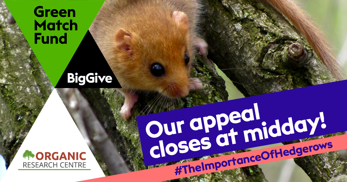 OrgResCent's tweet photo. Our #TheImportanceOfHedgerows appeal closes at midday and we’ve raised an incredible £27,154 (including matched funding) but you can still donate to help the vital role hedgerows play in their local ecology. 

https://t.co/0CGMY5Seo0   #GreenMatchFund https://t.co/E580Cik0ZG
