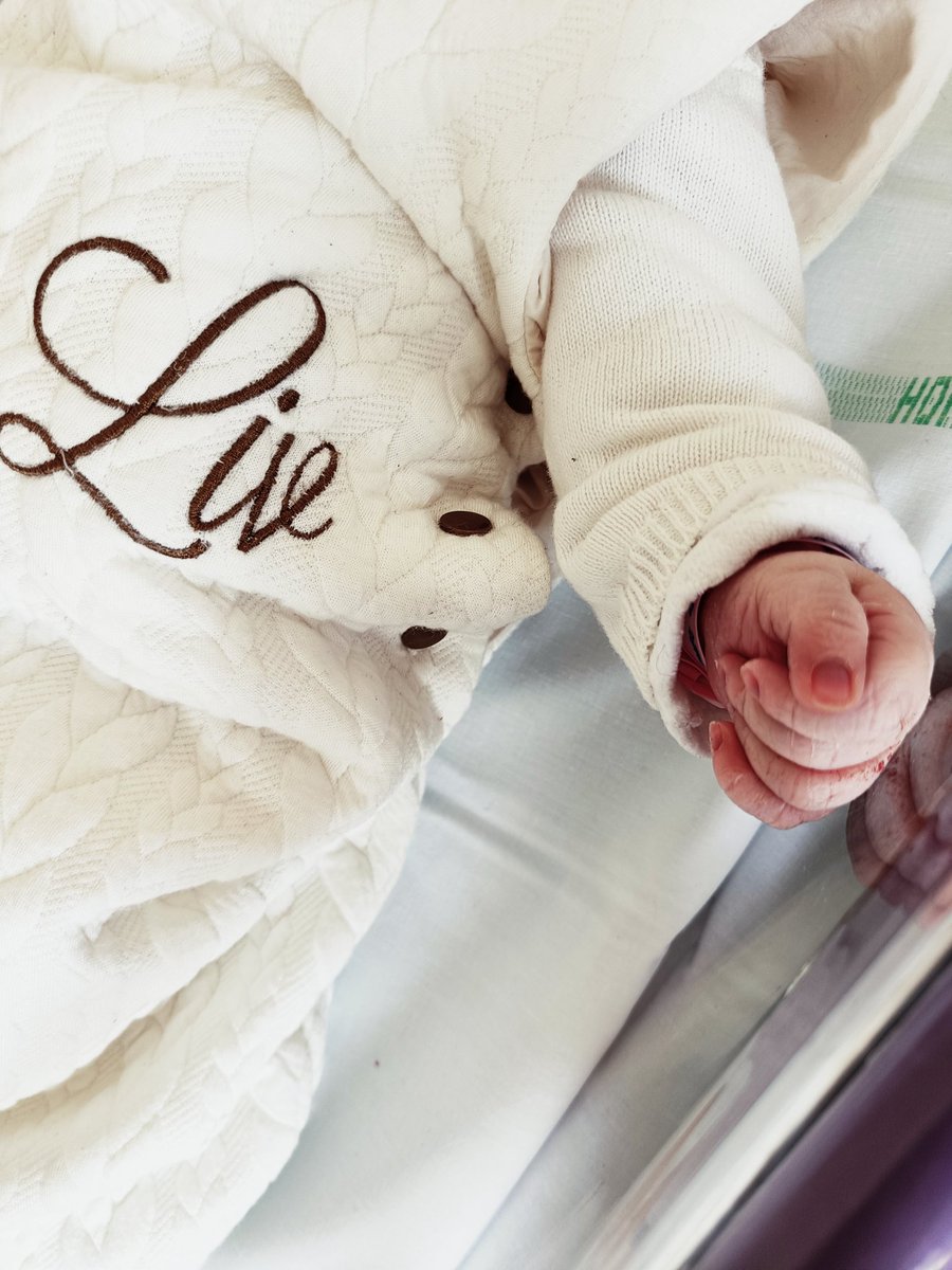 LifeFluffy's tweet photo. Liv est née a 5h28 le 27 Avril 🎊🧡
L'enfant indelogeable de son jacuzzi est enfin parmi nous 🥹

Je ne remercierais jamais assez le personnel soignant d'avoir tout tenté jusqu'au bout pour éviter la césarienne, et malgré les 4kg380 de l'enfant... Nous AVONS RÉUSSI 🥹🧡
B https://t.co/IOPjMmum7f