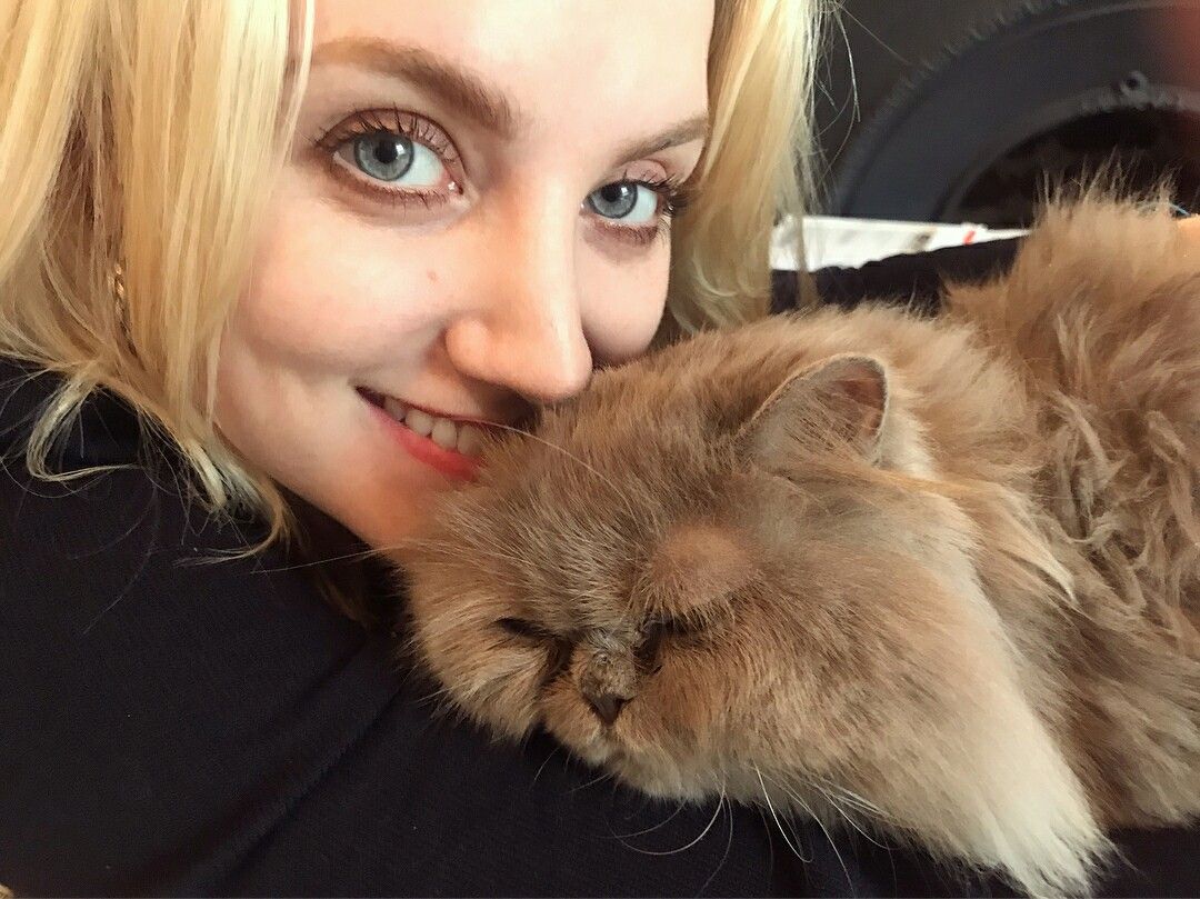 IJodochka's tweet photo. До мене прибіг кіт @herm_j_granger =) https://t.co/CZFgZ2v1s0