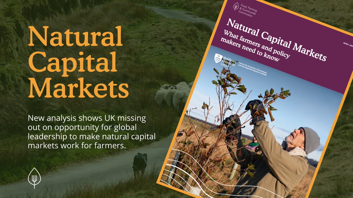 📢New evidence out today #naturalcapital markets analyses:
🌳balancing public value and private profit
🌳market access for smaller farms
🌳 the regulatory guardrails required

Read the briefing and full report👇
ffcc.co.uk/news-and-press…
<a href="/countrysidefund/">The Royal Countryside Fund</a> <a href="/CEEDRmdx/">CEEDR</a> <a href="/jojabaker/">Jonathan Baker</a>