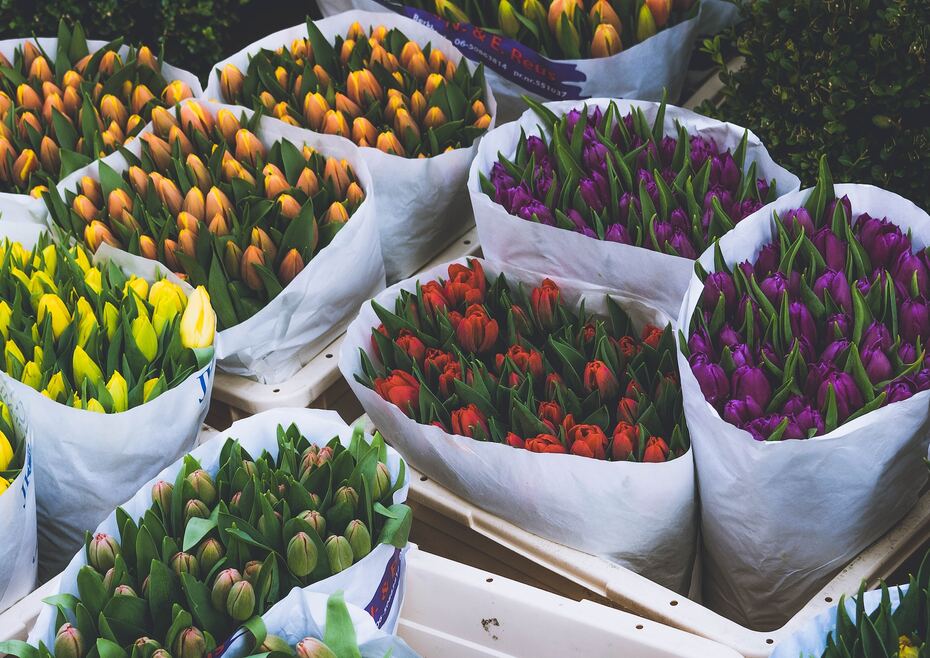 pickupflowers's tweet photo. Global Flower Power: Celebrating Mother's Day With The Perfect International Bouquet!
https://t.co/uTXpFV00us https://t.co/159Q6IJ9fo