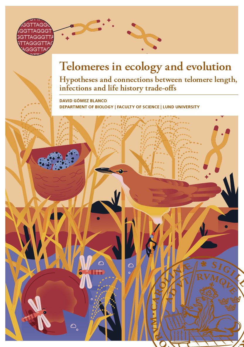 David Gómez-Blanco, PhD tweet media