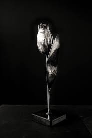 woensdag 17 mei zilveren tulp uitreiking - mailchi.mp/e7479eacdac7/j…