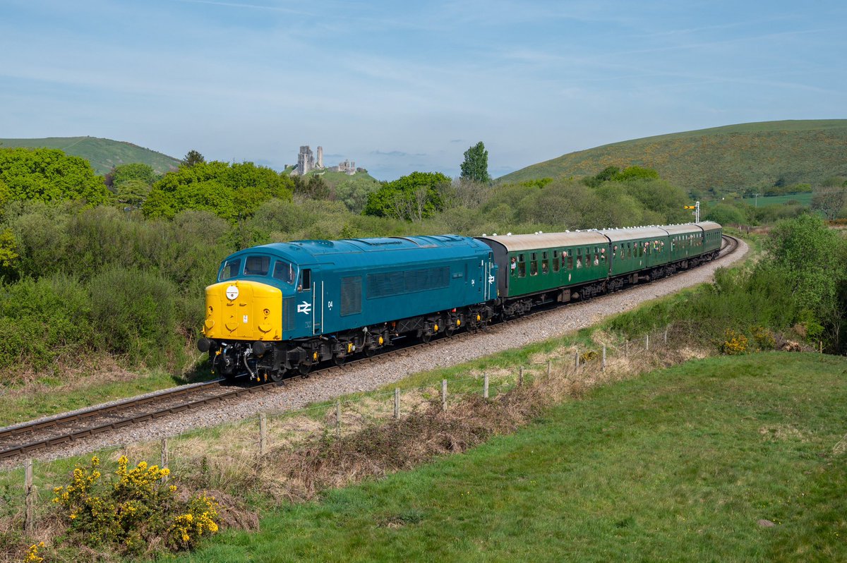 McateeTom's tweet image. With the Swanage diesel gala on the horizon, here is one from last year of 44004 passing Corfe Castle. 6th May 2022 📸☀️

Print Store ➡️🏞🚂 etsy.com/uk/shop/Railwa…

#class44 @SwanRailway @SwanageTIC #corfe #corfecastle #swanage #wareham #brblue @WeLoveSwanage @CorfeCastleUK