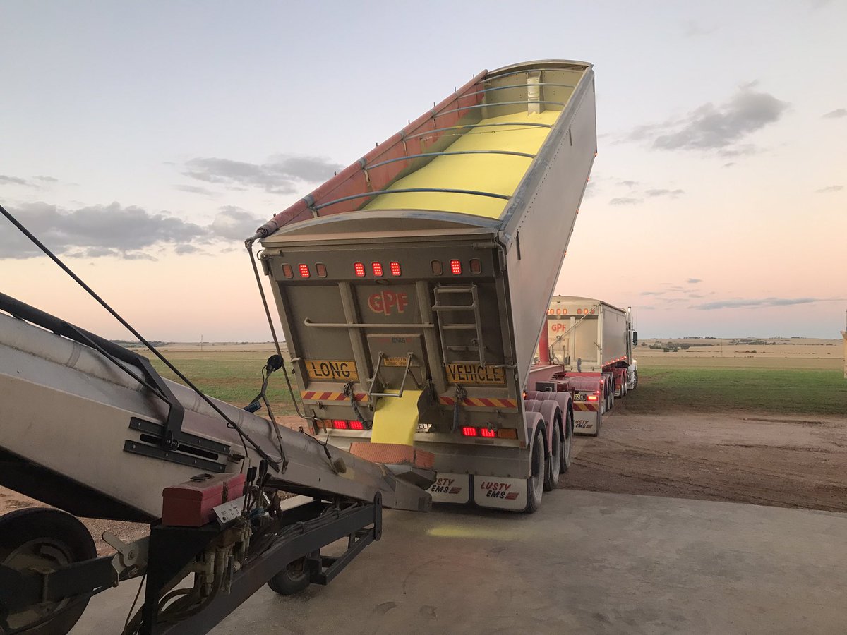 Linden Price tweet media