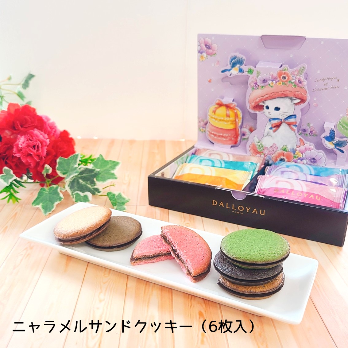 シャツ、ブラウス | TRANOI.offical STORE