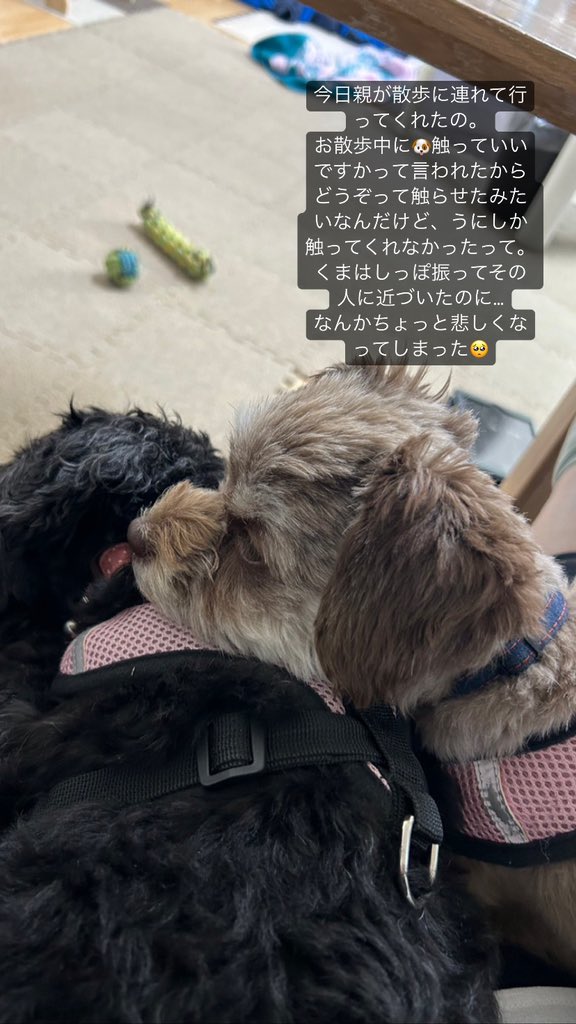 KumauniChannel's tweet photo. https://t.co/BbL7HwXzKe