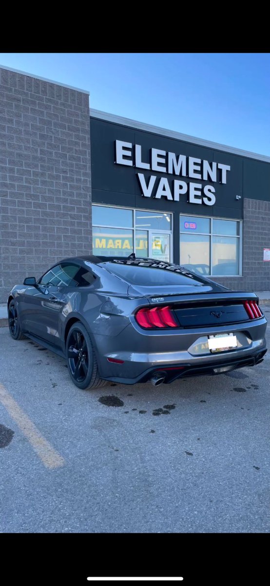 306Grows's tweet image. #mustang