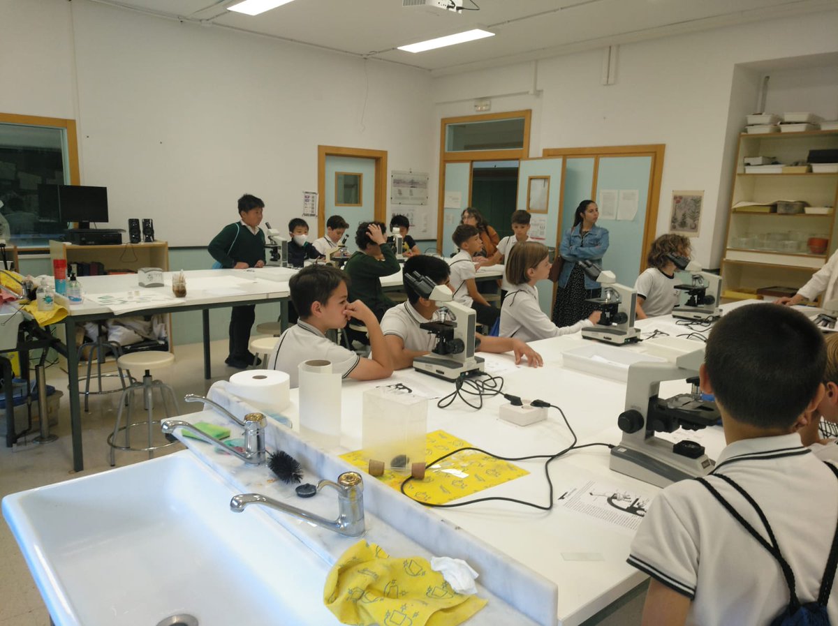 IES Font de Sant Lluís tweet media