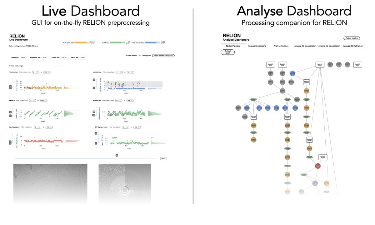 You can now check the last version of our (@rfleiro @emma_arean @CNIOStopCancer) RELION metadata analysis tools! Available for everyone in github.com/cryoEM-CNIO/CN…. Quick tweetorial 🧵 (1/5)