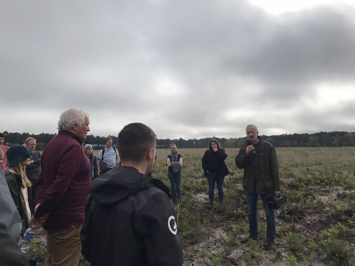 #Naturebasedsolutions: In our French demo area managed by <a href="/INRAE_NA_BDX/">INRAE Nouvelle-Aquitaine Bordeaux</a> they plant #broadleaf #hedgerows along #pine #plantations to promote #biodiversity and provide #habitat and corridors for dispersion for #wildlife