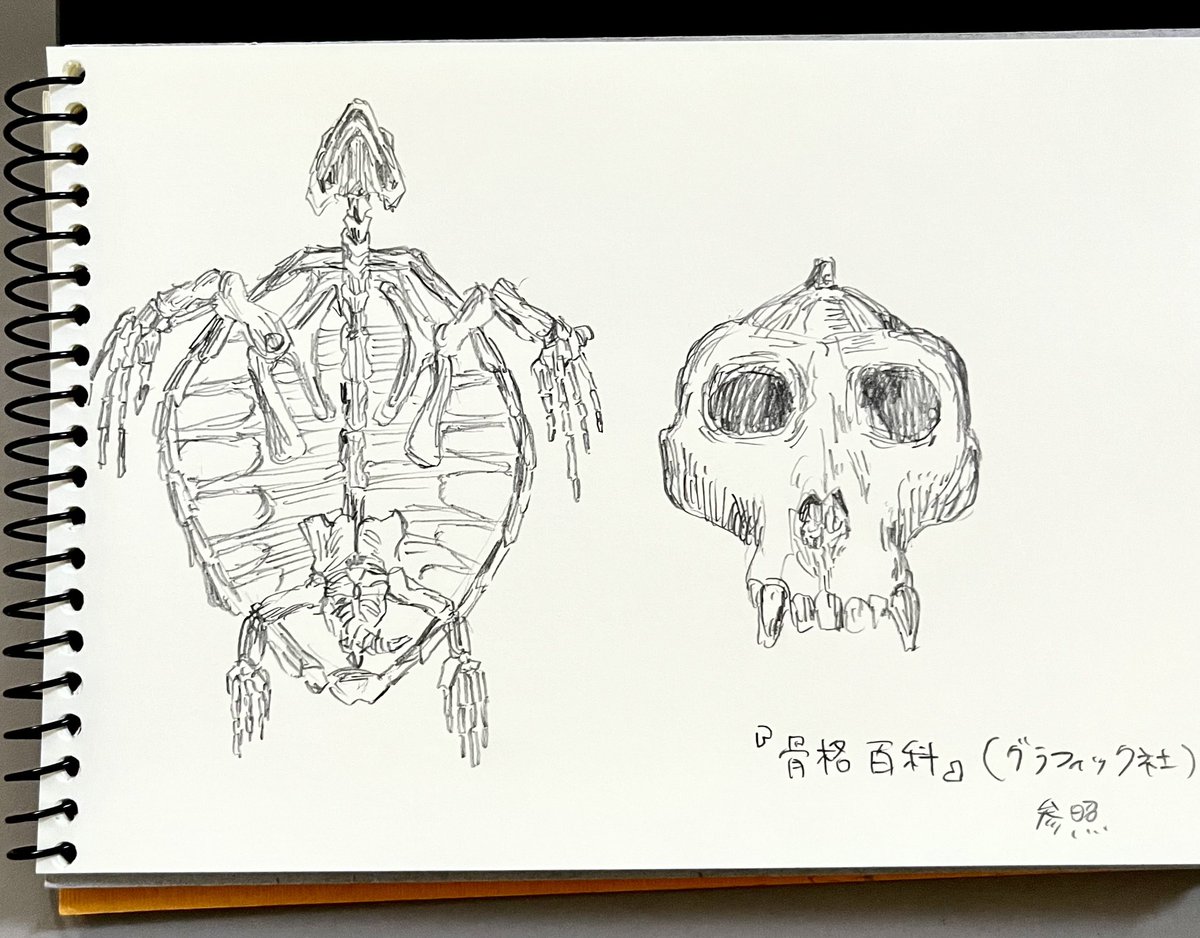 #1日1絵 