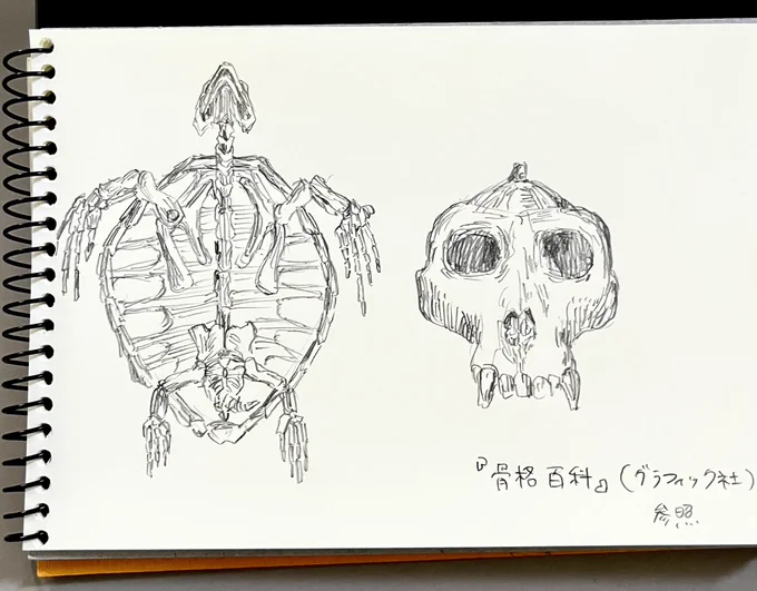 #1日1絵 