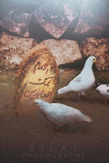 bm4f4's tweet photo. يامولاي سيأتي اليوم الذي نبكي بجانب قبرك #بقيعنا_مطلبنا https://t.co/z6hYqVpNRK