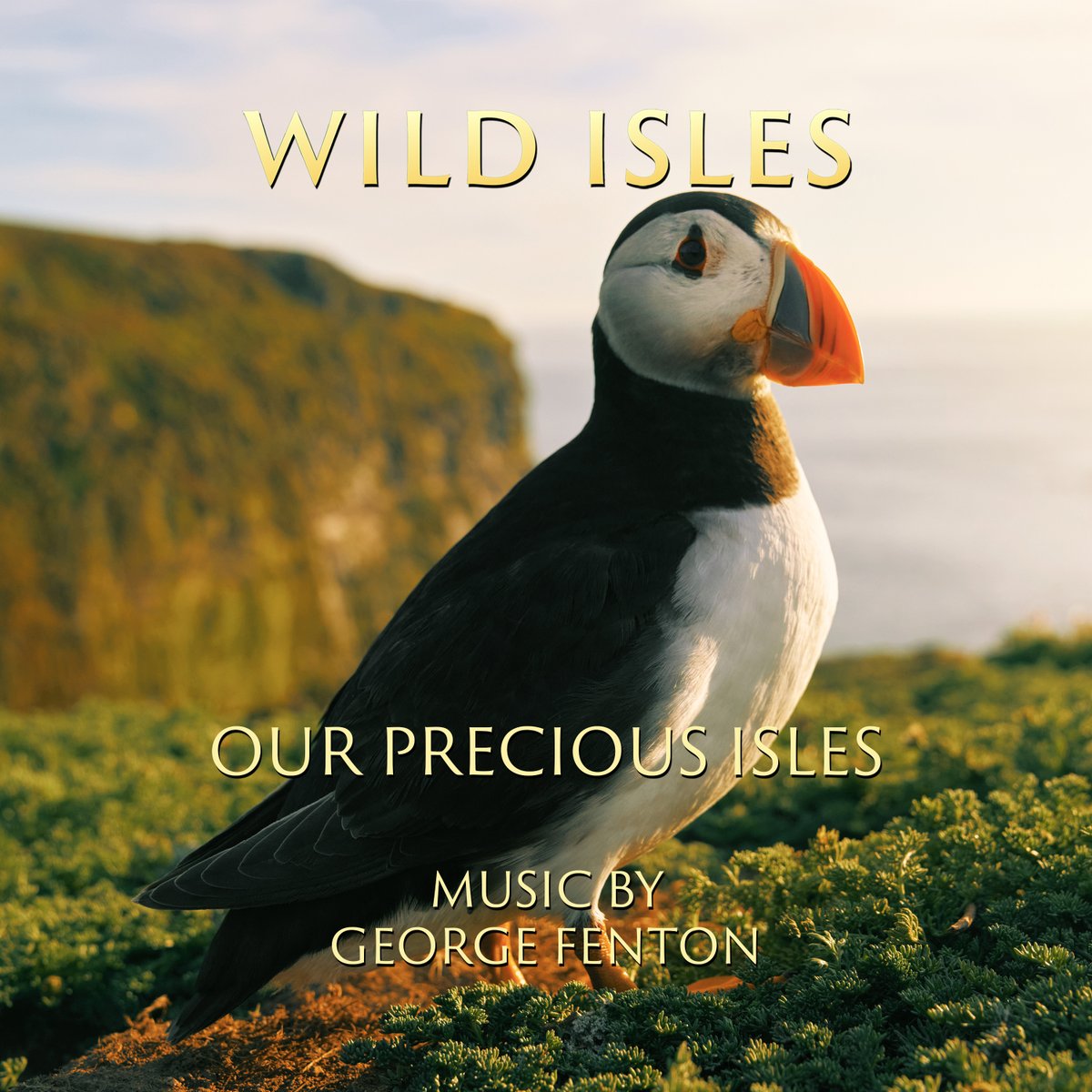 Hands up if you enjoyed the music from #WildIsles! 🙋🎶 From tense orca hunts to the ethereal sea slug scene, @GFentonMusic composed so many beautiful melodies to help capture the beauty of #UKNature. Stream all five soundtracks 👉 fal.cn/3xLig @umpg_uk @BBCiPlayer