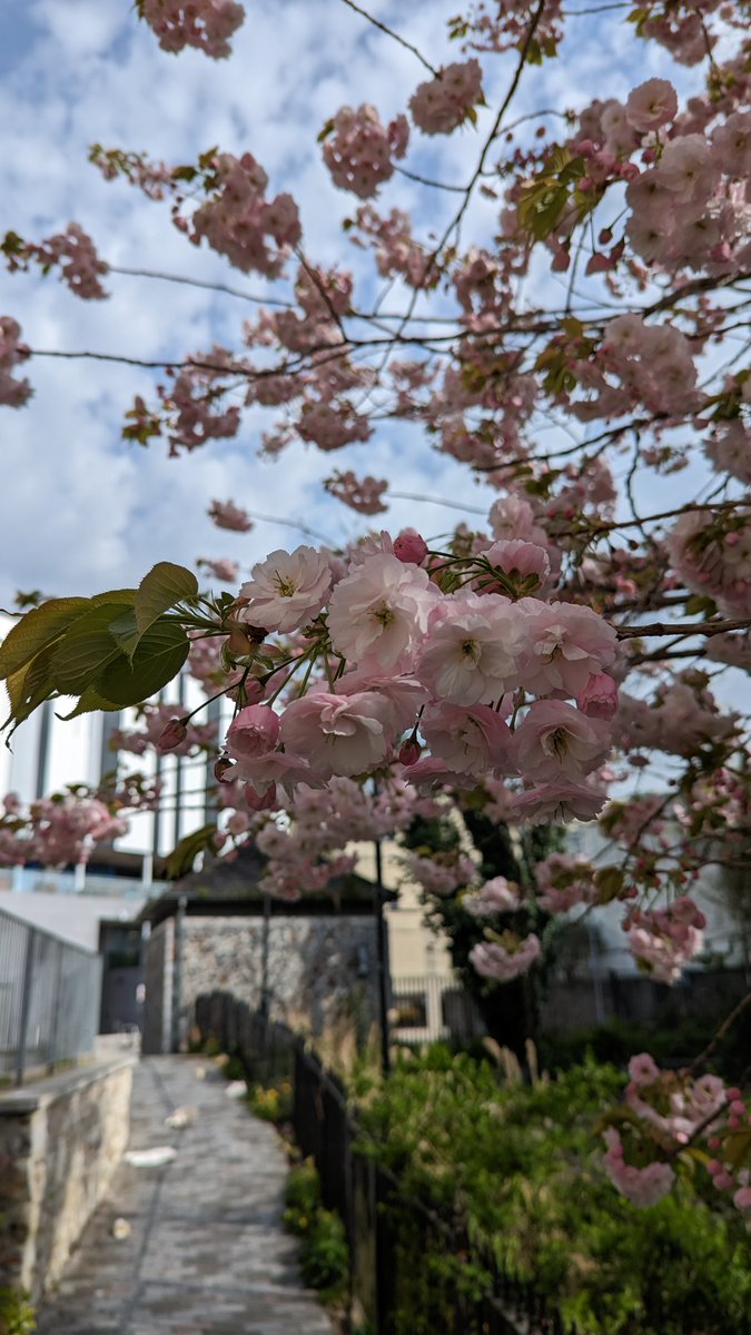 Andy J. Wills (@ajwills72) on Twitter photo Spring's arrived in Plymouth and we're marking it by hiring FOURTEEN new colleagues - from Teaching Assistants (who study for a Ph.D. part-time) through to Associate Professor level. Links below. Happy to chat if this interests you.
Teaching and Research Assistant (x6) Spring's arrived in Plymouth and we're marking it by hiring FOURTEEN new colleagues - from Teaching Assistants (who study for a Ph.D. part-time) through to Associate Professor level. Links below. Happy to chat if this interests you.
Teaching and Research Assistant (x6)