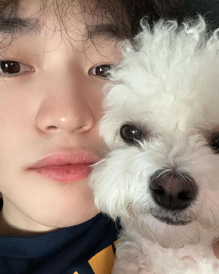 jungshasa's tweet photo. get well really soon baby 🥺 https://t.co/X0YiPWPsdP