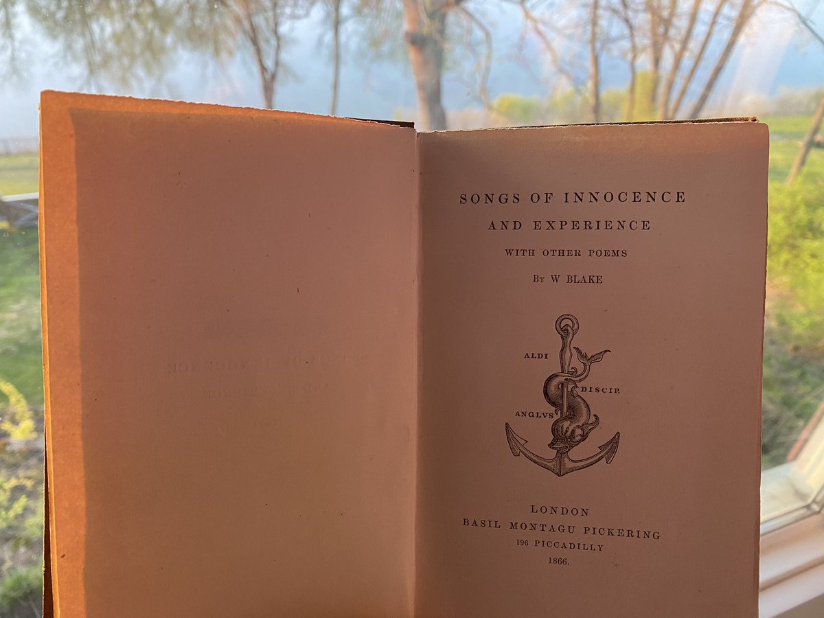 GoldenSun_777's tweet photo. William Blake’s Songs of Innocence and Experience. No surprise this book ends on page 108 with a sacred number that has been regarded as depicting the wholeness of existence itself. 

#williamblake #poetry #philosophersstone #eyestosee #lion #consciousness https://t.co/vSejCmsG8o