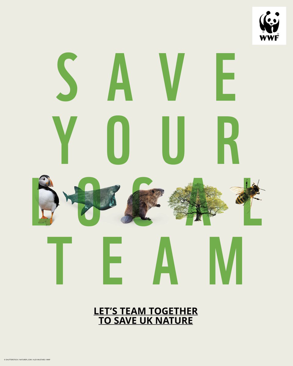 m_sephton's tweet photo. New work. Save your local team for @wwf_uk - building on the success of their co-funded BBC programme #wildisles , they wanted to connect with the British public and help support UK nature. #WWF #Creative #campaign #nature https://t.co/cYbZMcpMJ6