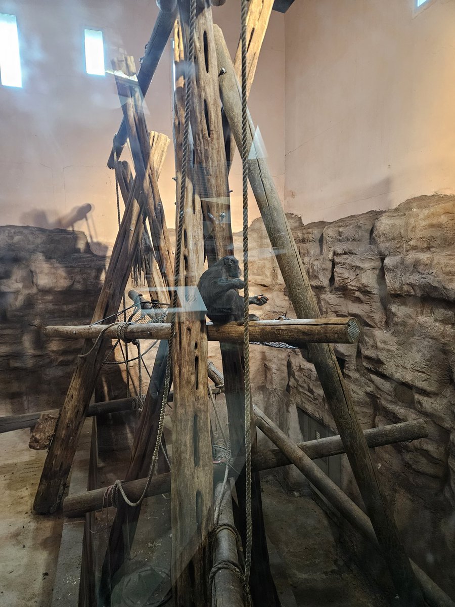 Christine Stewart tweet media