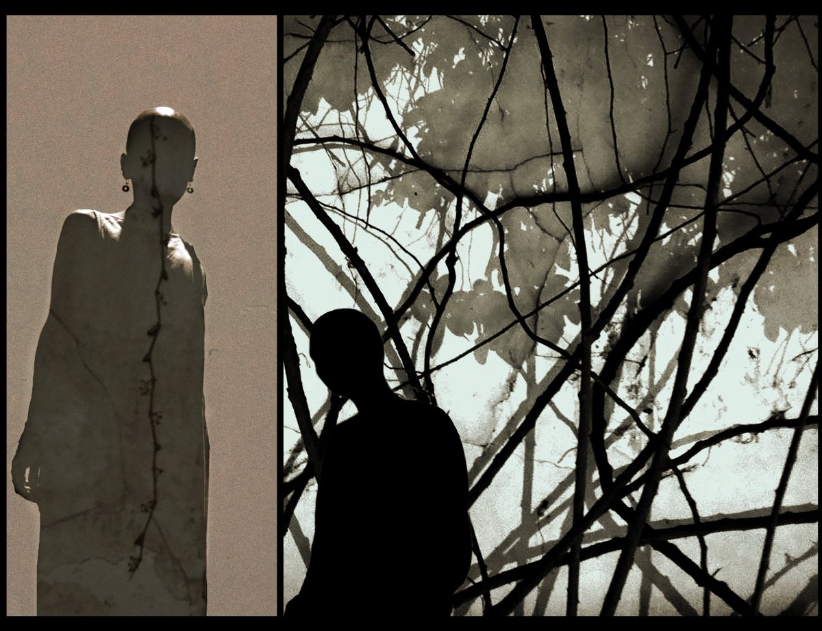 "A woman who doesn't exist"

objkt.com/profile/elizab…

#NFTCommuntiy #nftphotography #tezosArts #WomensArt