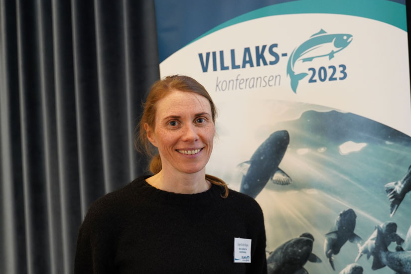 På #Villakskonferansen 2023 fortalte Ingerid Julie Hagen (NINA) om hva vi har lært av å evaluere kultiveringen av laks i 15 elver. Fiskeutsetting kan være både til hjelp og ulempe! vitenskapsradet.no/Nyheter/kultiv…