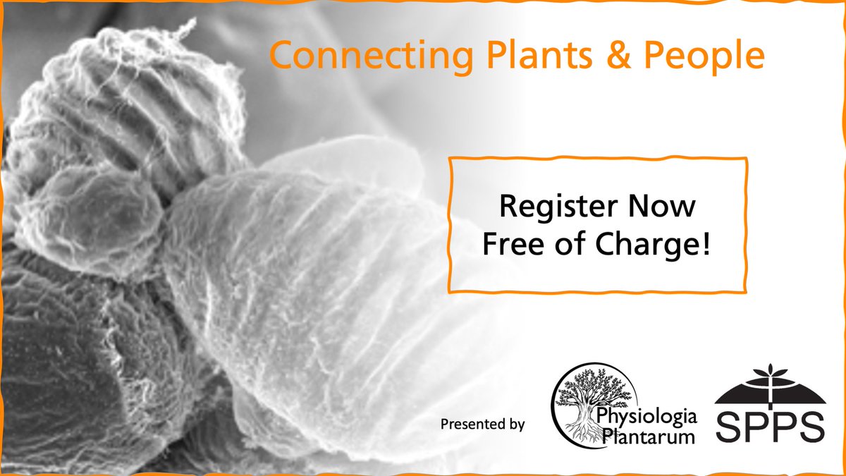 Register for Connecting Plants &amp; PPL 5th Webinar on 'Recent breakthroughs in lignin chemistry &amp; phenoloxidases for plant development &amp; response to stresses”!

More info about program and registration here bit.ly/3HgtUeI 

#Plantscience #webinar #lignin <a href="/PlantSpps/">Scandinavian Plant Physiology Society - SPPS</a>