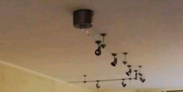 "Paul Neuhaus" Marken #Leuchtsysteme #LED/#Halogen decowelt.haupts.org/produkt/paul-n… via <a href="/Dekowelt_MG/">Wunderbare_Dekowelt</a>