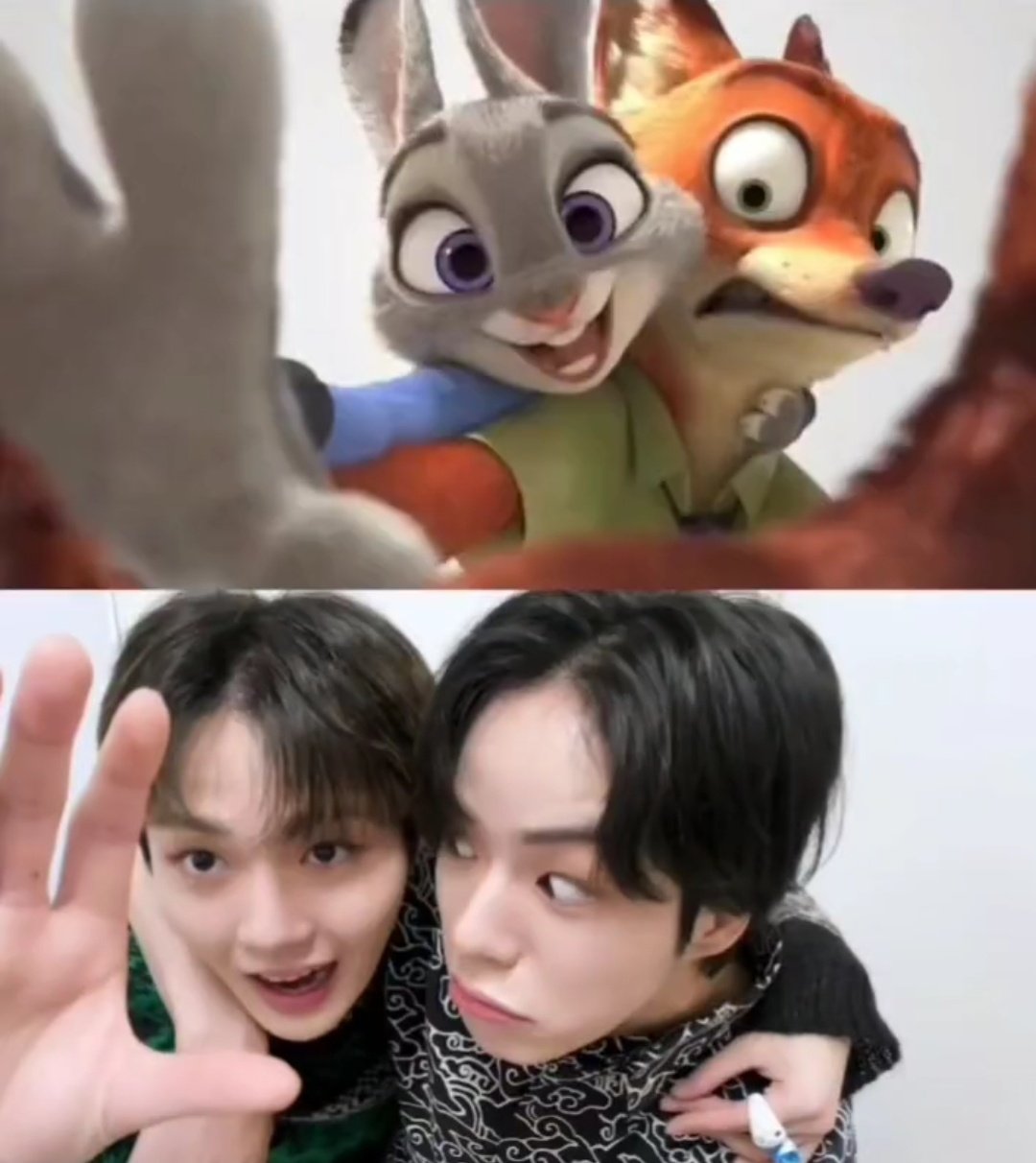 DOBBIES INTERNATIONAL (DOBBIES_INTL) / Twitter