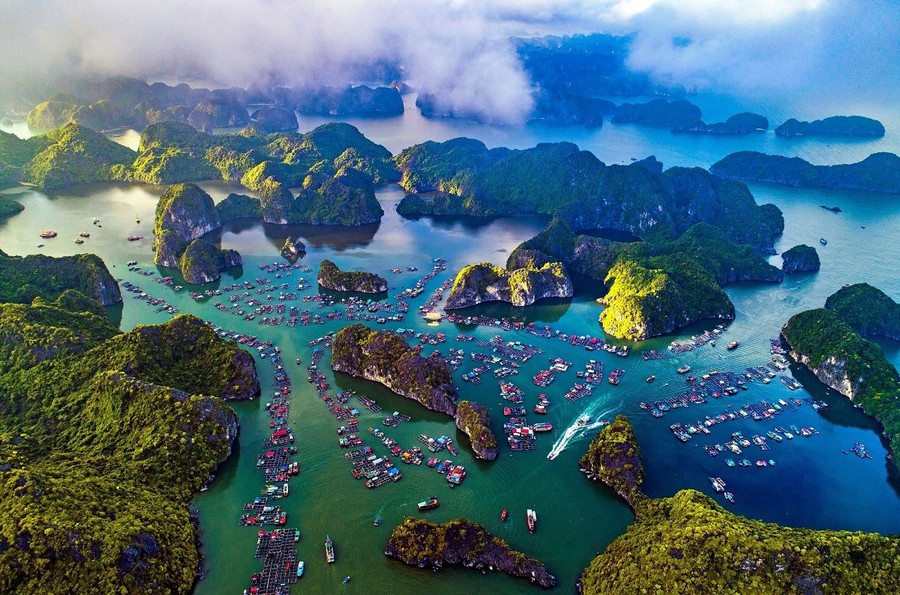 OneVivu's tweet photo. Vịnh Lan Hạ Cát Bà sẽ mang đến cho du khách một kỳ nghỉ dưỡng tuyệt vời với vẻ đẹp yên bình, hoang sơ mà rất đỗi trữ tình.#vinhlanha #onevivu

https://t.co/9l0dtSNuEI https://t.co/NyIodW4FgZ